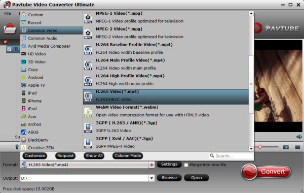 H.265 video format