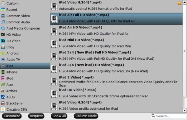 iPad Air 2 video format
