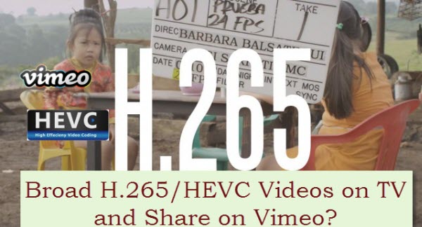 h265-hevc-video-codec